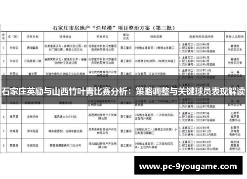 石家庄英励与山西竹叶青比赛分析：策略调整与关键球员表现解读