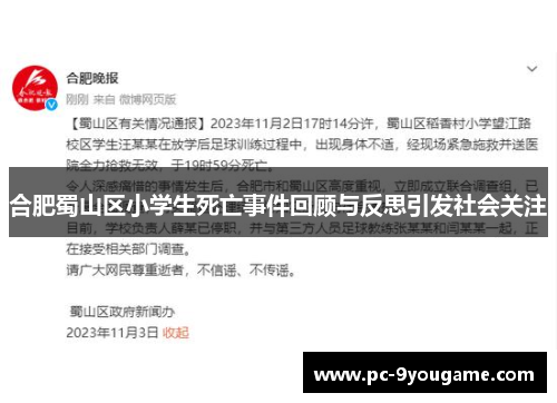 合肥蜀山区小学生死亡事件回顾与反思引发社会关注