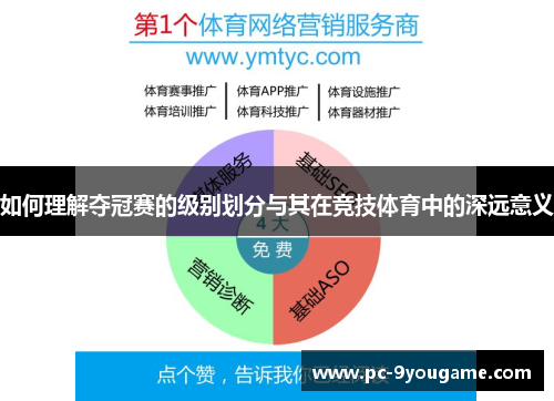如何理解夺冠赛的级别划分与其在竞技体育中的深远意义